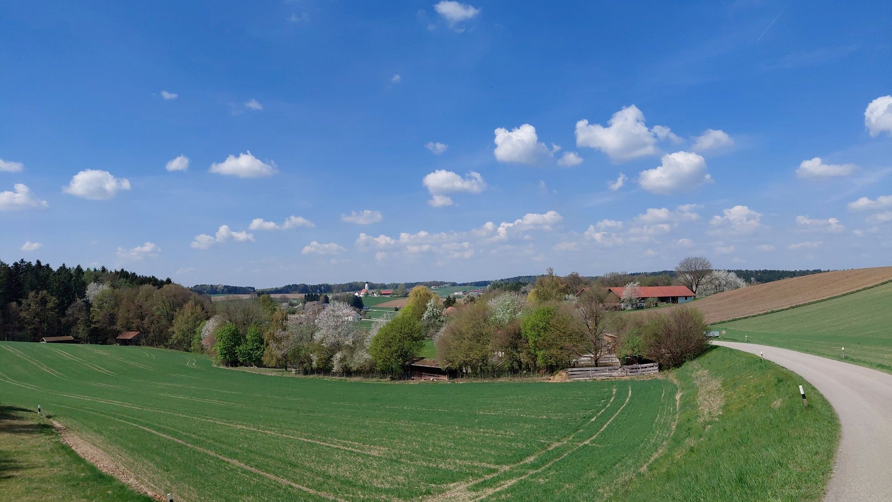 Background-Image