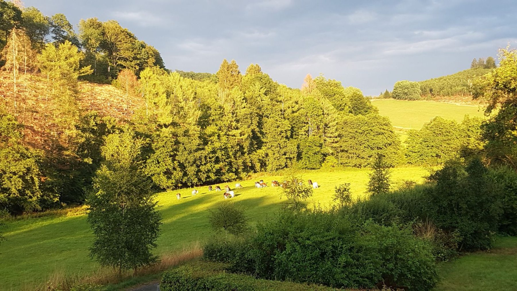 Background-Image